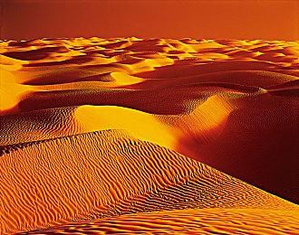 《疯狂兔子：奇遇派对》首个免费更新内容现已推出 取经小队变装摩登师“兔”