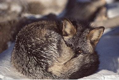 《最终幻想7：重生》总监喊话PC玩家：请不要制作冒犯性的MOD